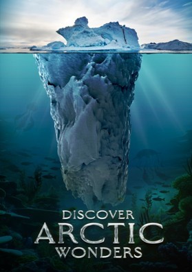 Discover Artic Wonders